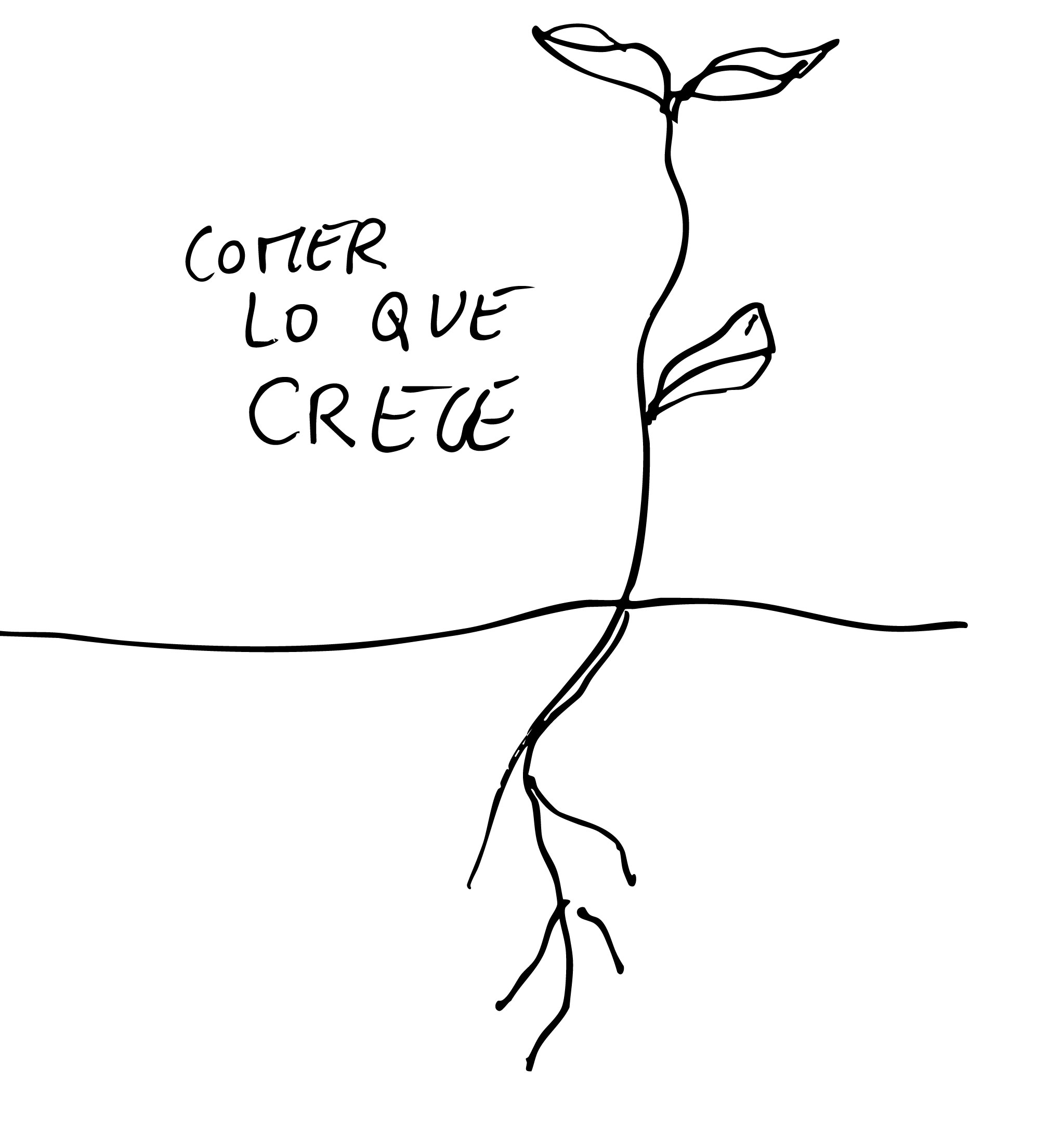 Ilustración minimalista en blanco y negro de Chloe Bordils que representa una planta y su raíz e ilustra el concepto de comer lo que crece