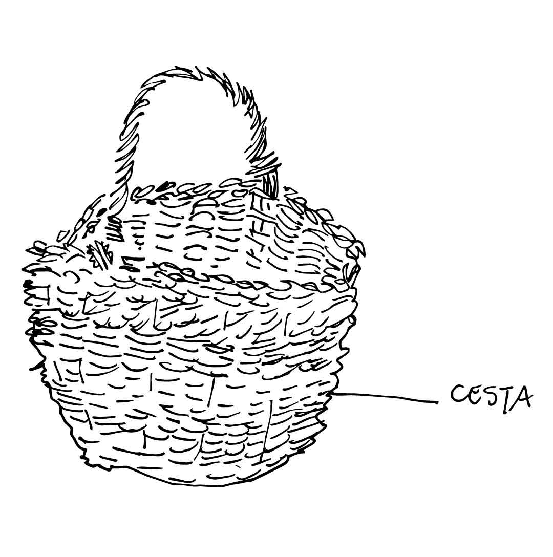 Dibujo de una cesta, observación y estilo minimalista por chloe bordils