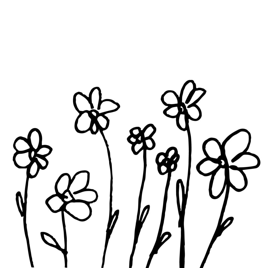 Ilustración minimalista de naturaleza — Chloé Bordils