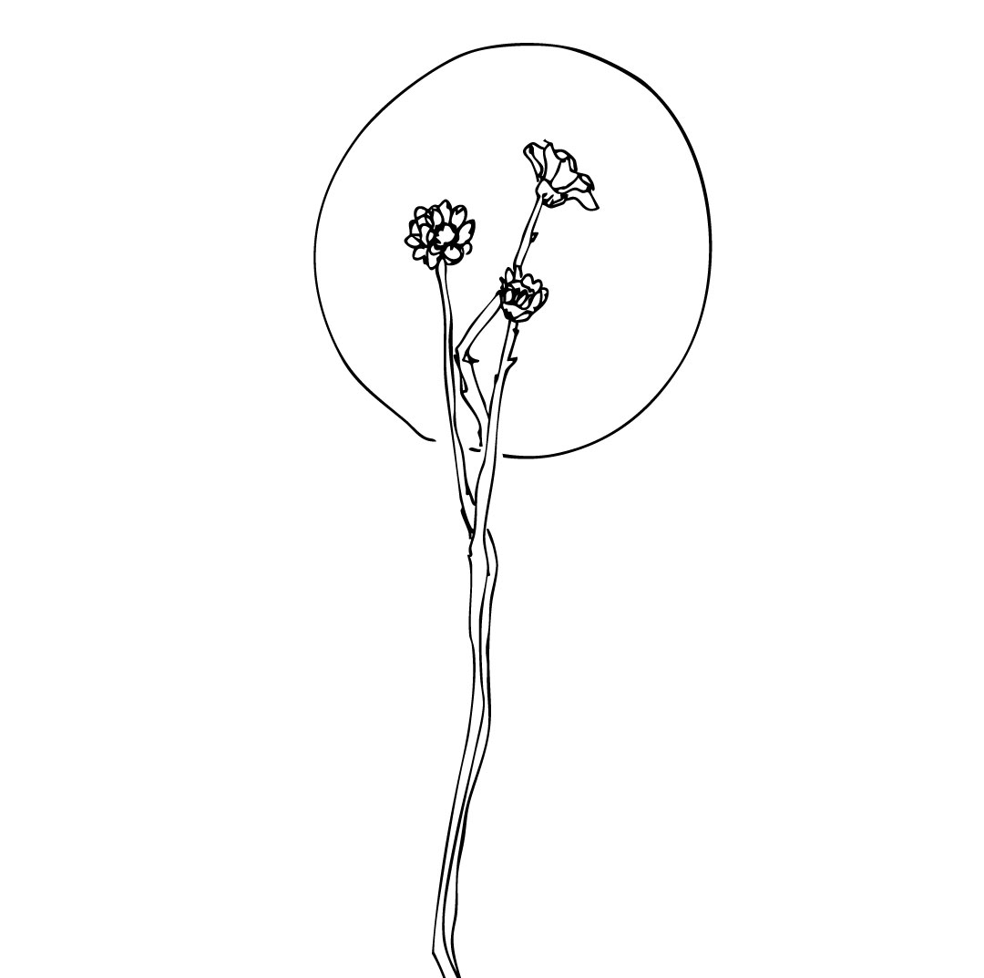 ilustración de flores delante de la luna de chloe bordils