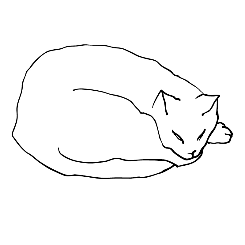 Portrait illustré de chat en noir et blanc
