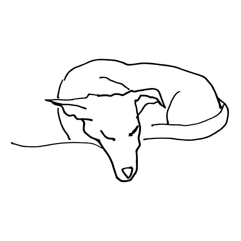 chien-2-chloe-bordils