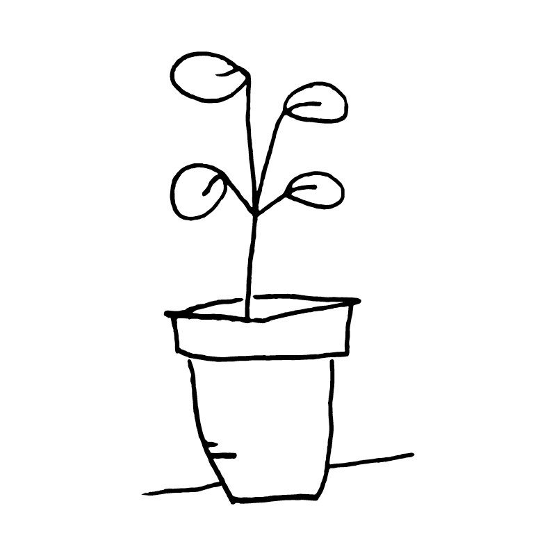 Illustration personnalisée de plante en noir et blanc