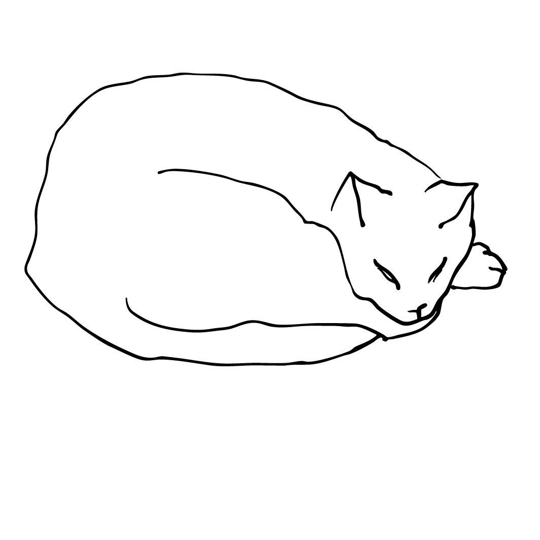 Ilustración de gato - Chloé Bordils