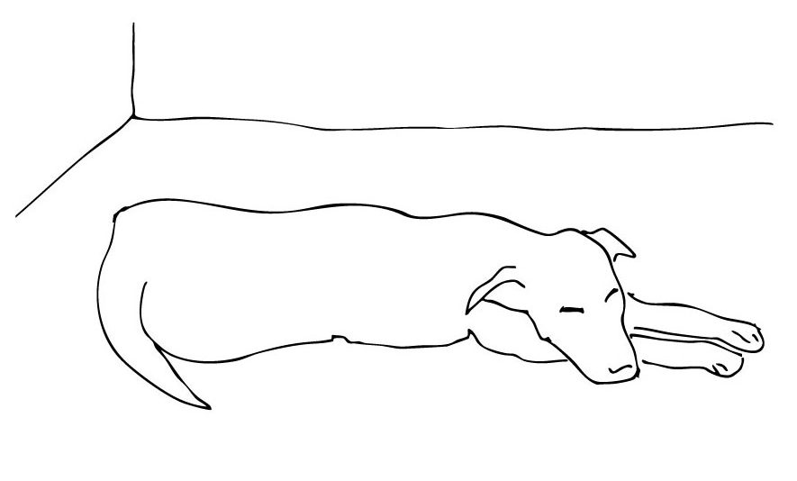Ilustración de perro - Chloé Bordils