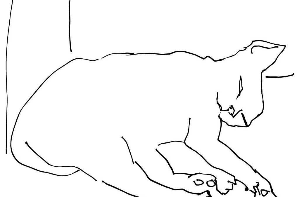Lo que aprendo cada vez que dibujo