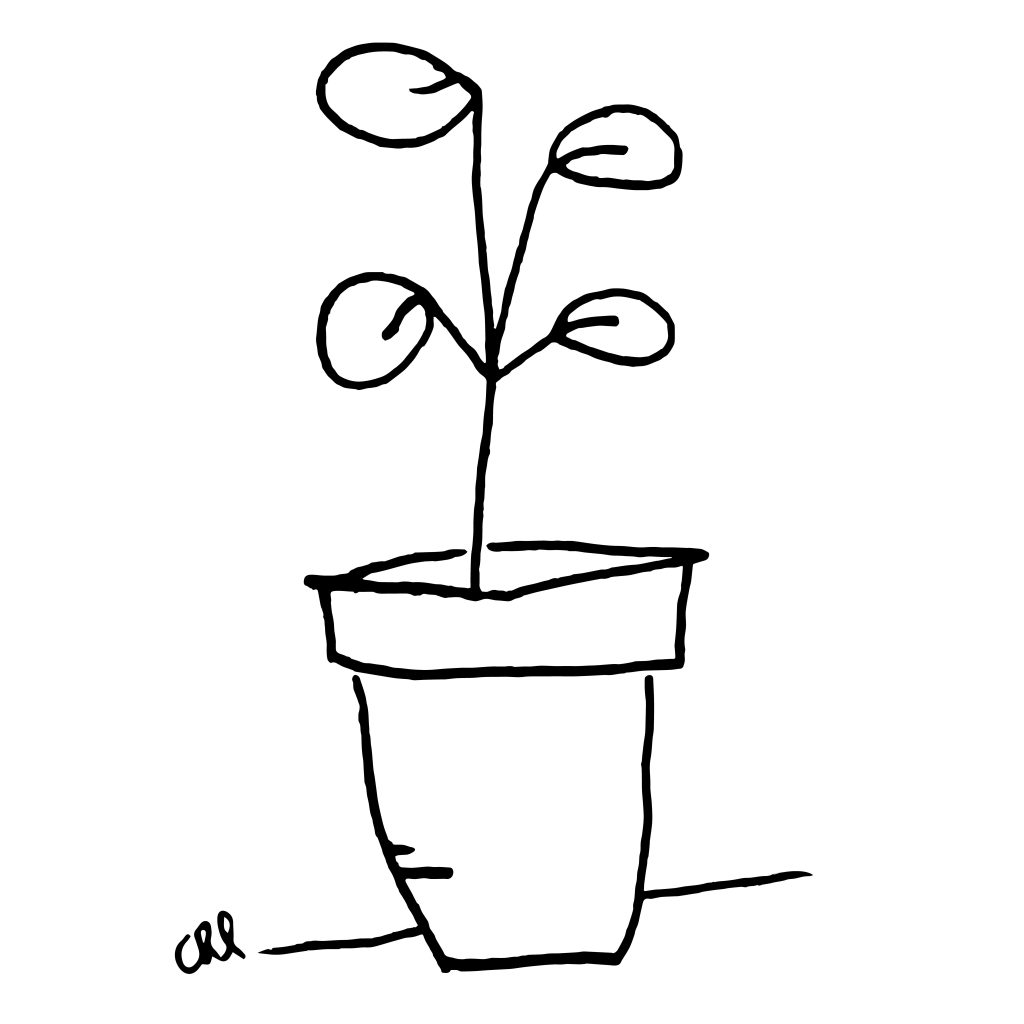 Aprender a dibujar observando, una planta por ejemplo, ilustración Chloé Bordils