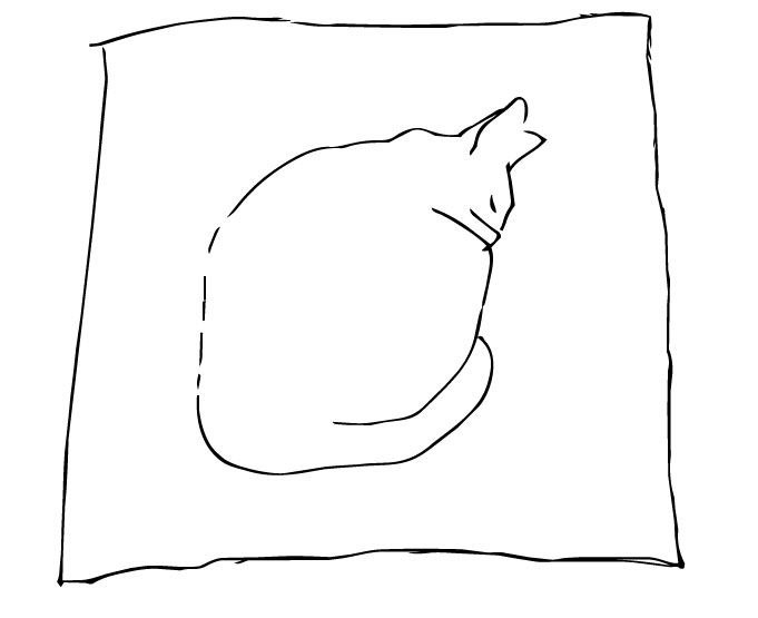 Ilustración de gato, dibujar animales, Chloé Bordils