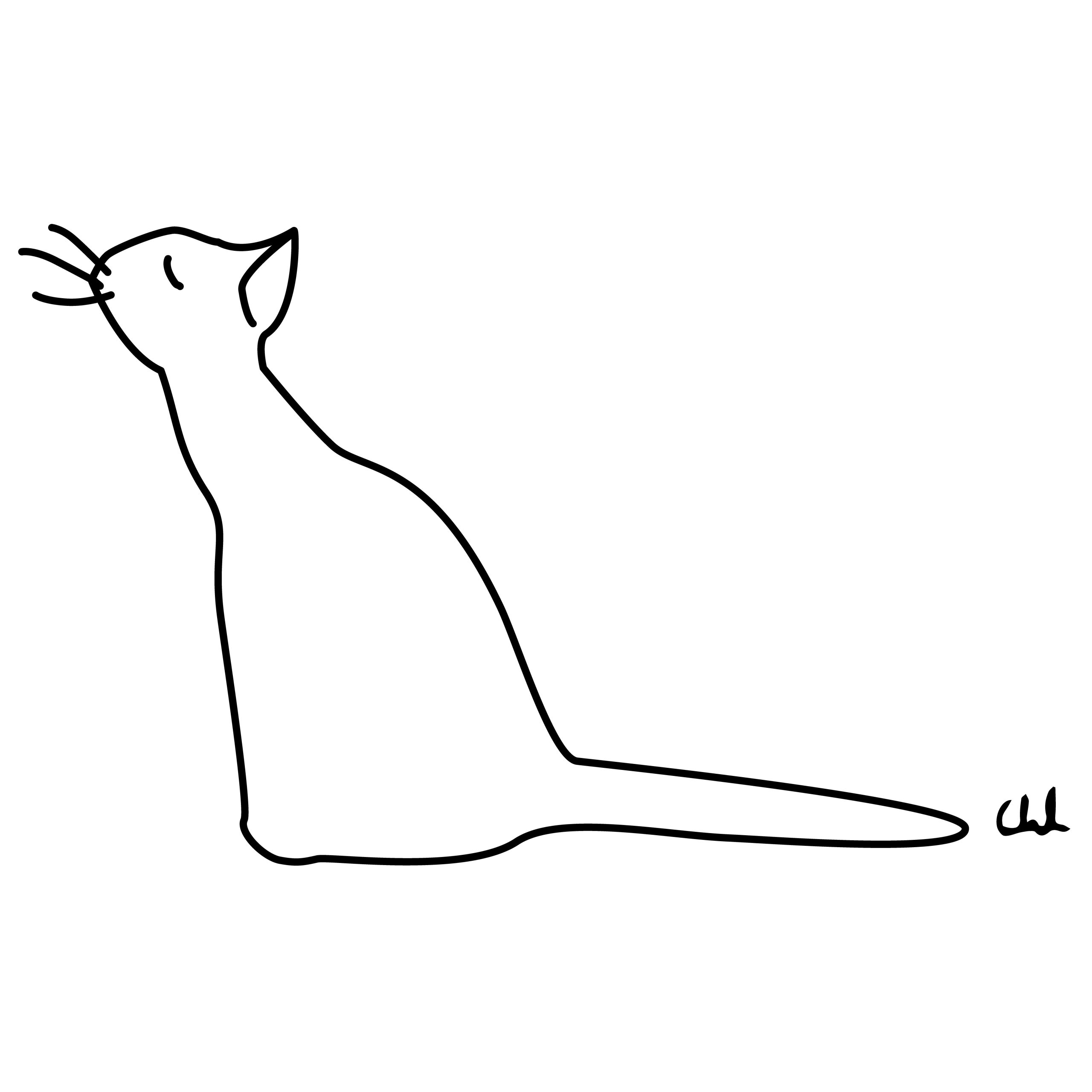 Ilustración de gato, dibujar animales, Chloé Bordils